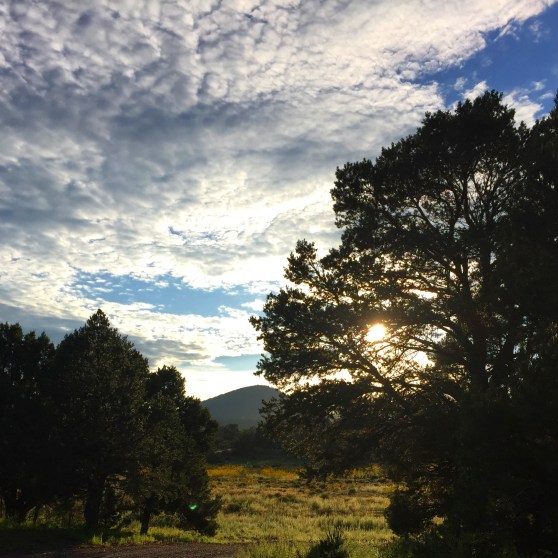 2015-08-28 18.06.36-1