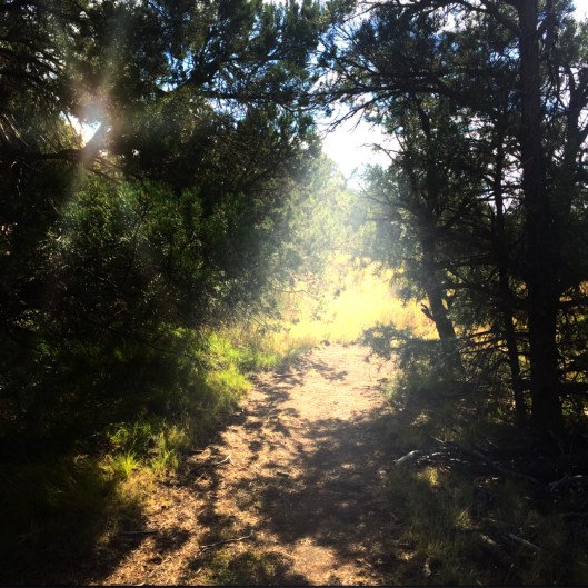 Photo Oct 13, 6 53 28 PM