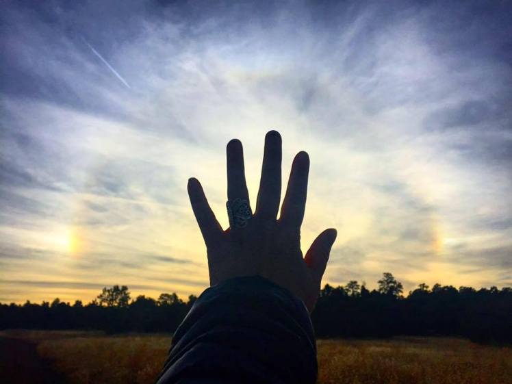 12310557_10153338146707099_5290087248258386447_n