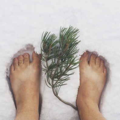 2016-12-24-11-10-41-1