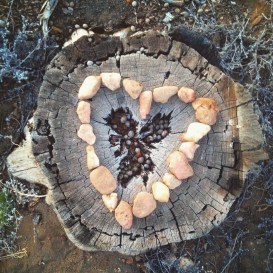 2015-06-03-19-41-50-1