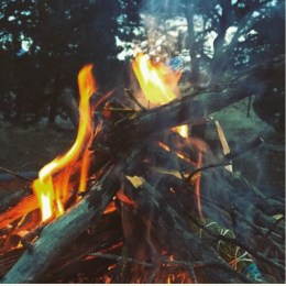 2016-12-21-08-19-10-2