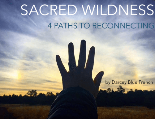 sacredwildness4paths-cover